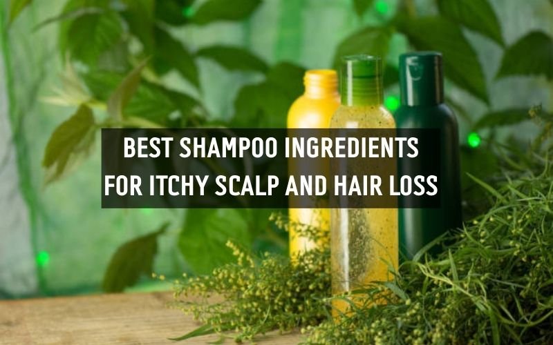 Key shampoo ingredients – Tea Tree Oil, Biotin, and Ketoconazole