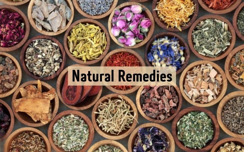 Aloe vera, tea tree oil, and coconut oil remedies for itchy scalp.